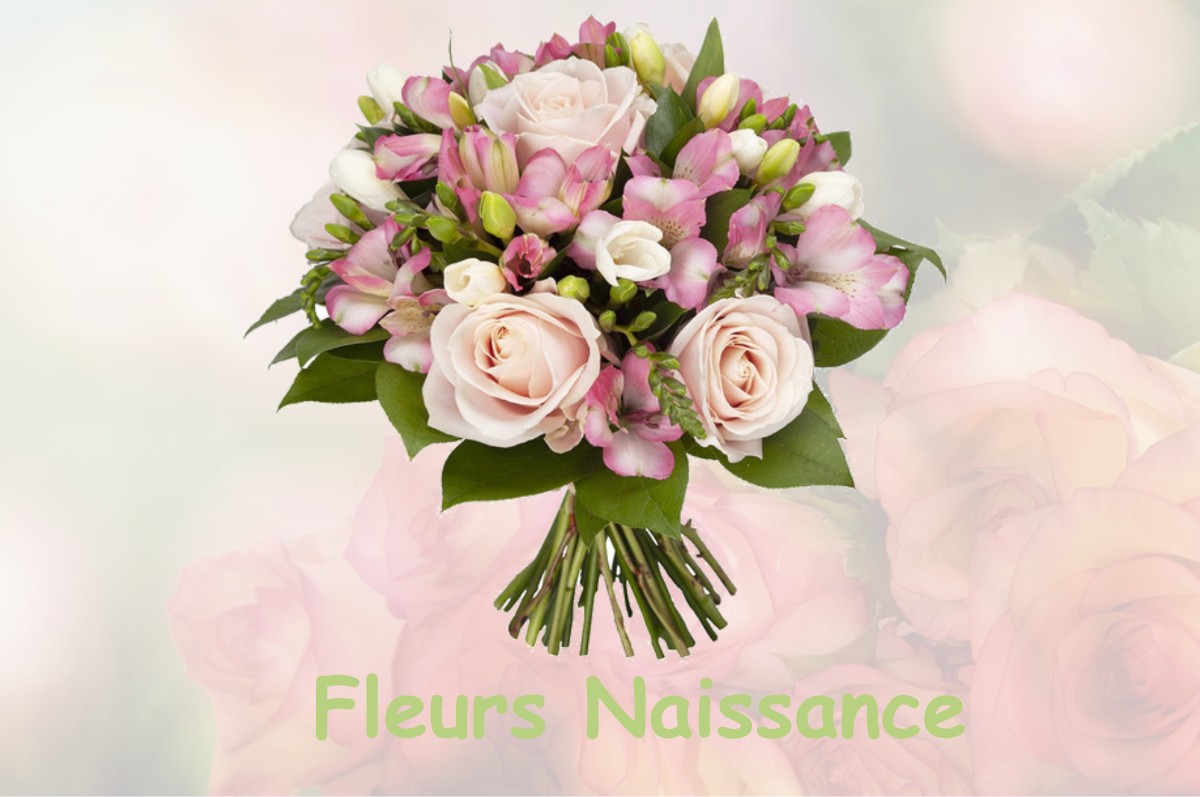 fleurs naissance SALIGNAC-SUR-CHARENTE
